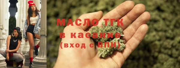 первитин Гусев