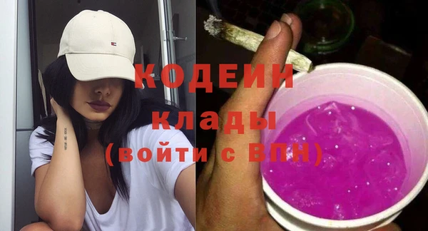 первитин Гусев