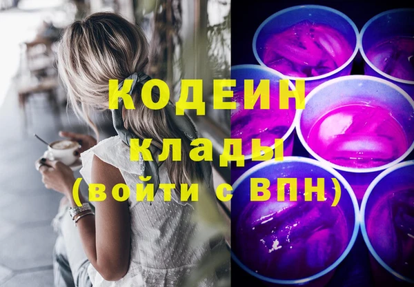 СК Гусь-Хрустальный