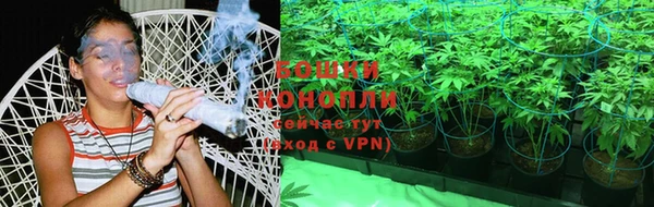 СК Гусь-Хрустальный