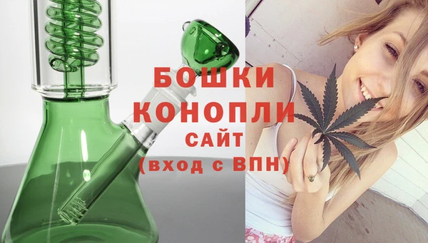 СК Гусь-Хрустальный