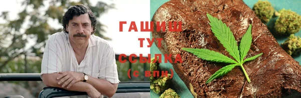 первитин Гусев