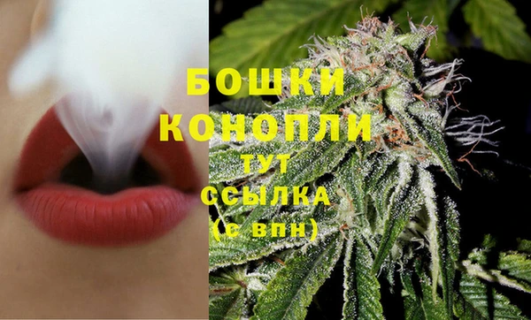 СК Гусь-Хрустальный