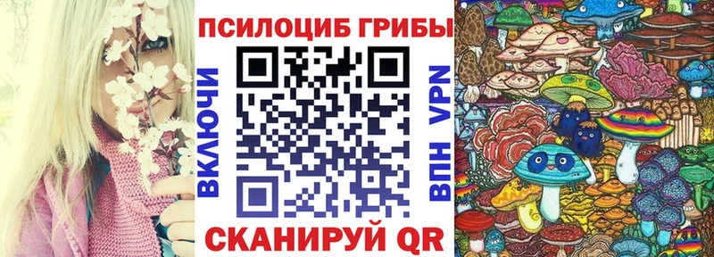Купить закладки  Алушта  Псилоцибиновые грибы прущие грибы 